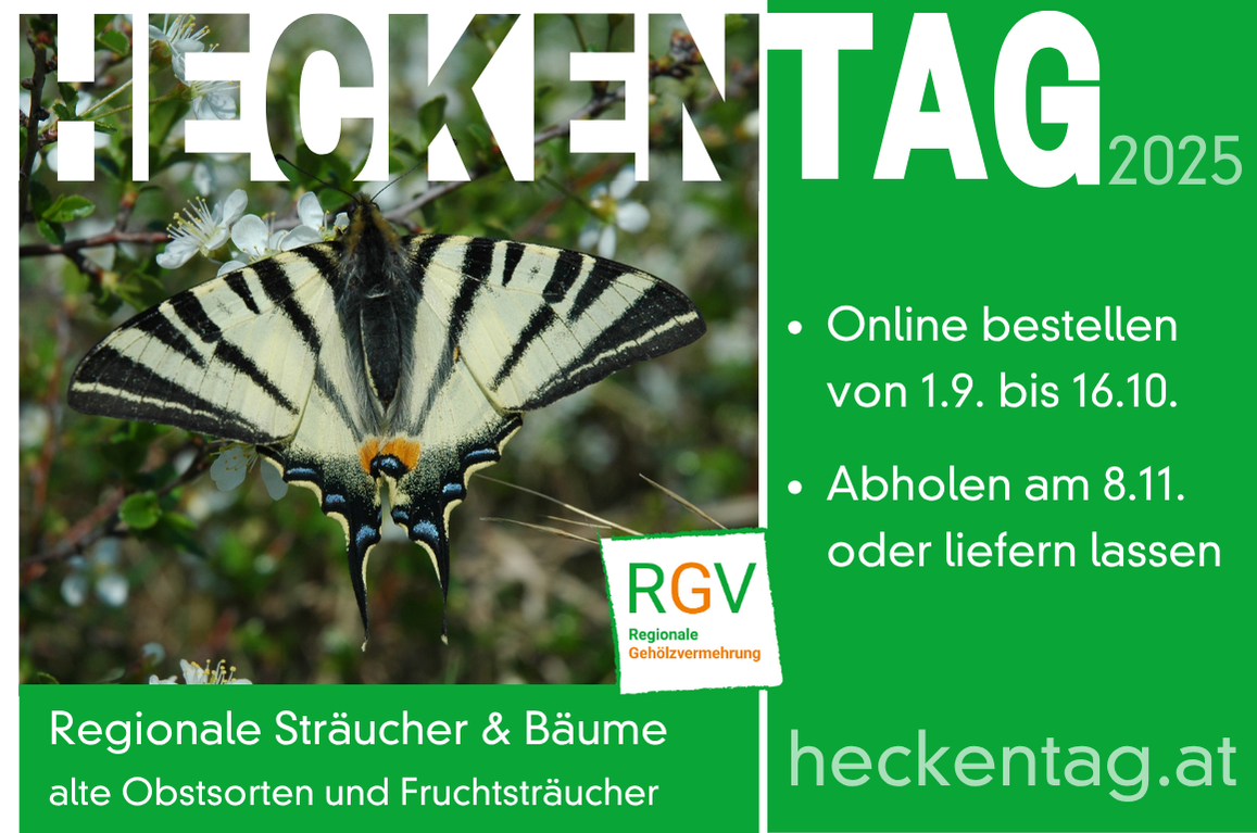 Inserat_Heckentag_NOE__98x65_2025.png
